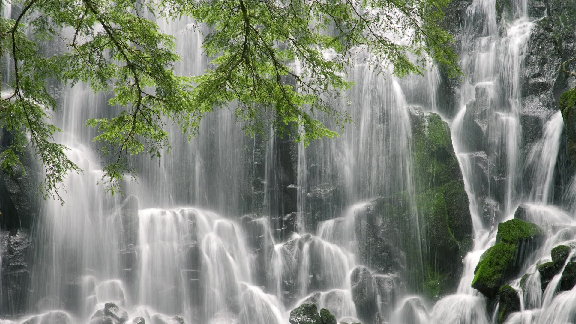 世界体能恢复公益课堂高校合作第十批项目验收通过，世界体能比赛
